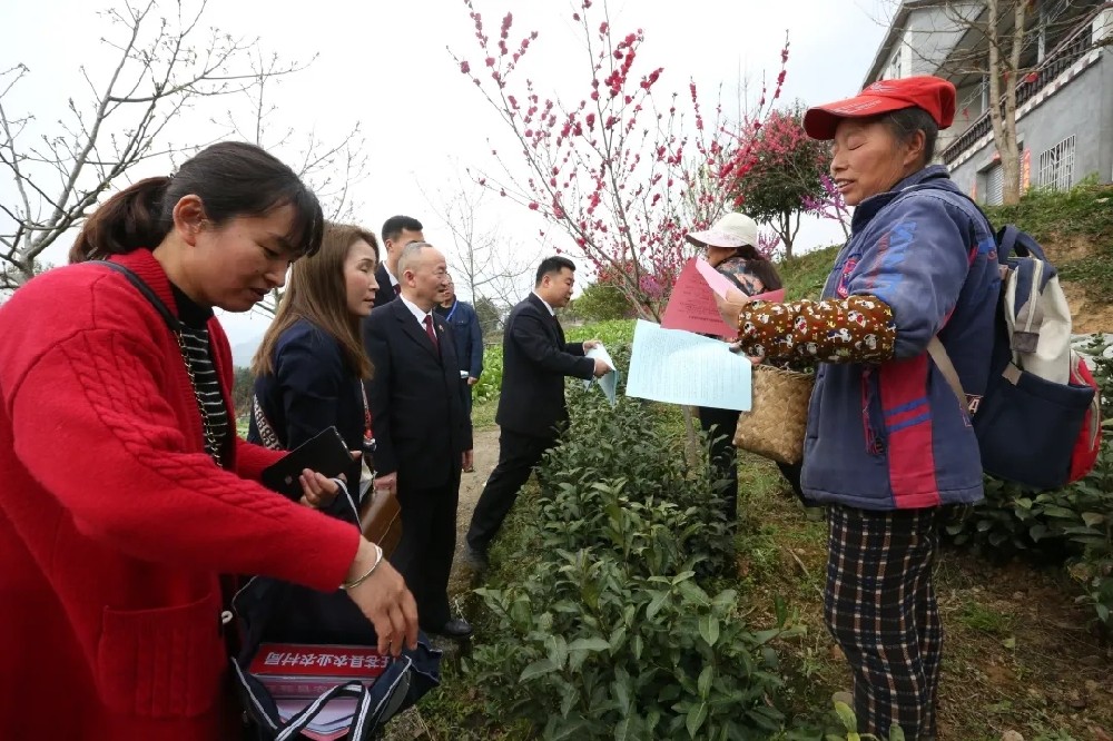 四川旺苍精准监督护航乡村振兴